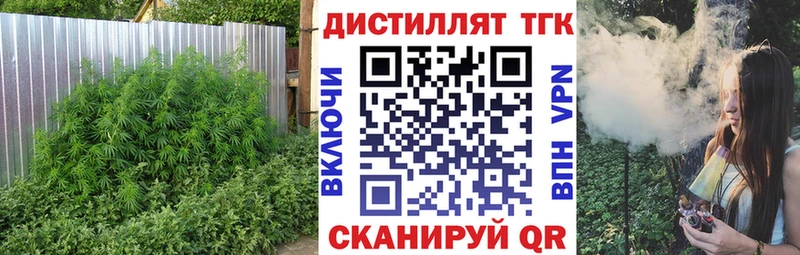 ТГК концентрат  где продают   Сосновоборск 
